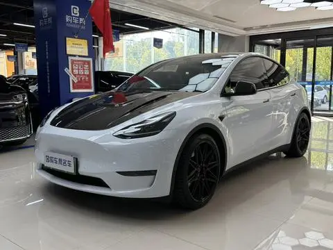 Tesla Model Y 2021 — фото 1