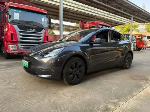 Tesla Model Y 2024 — фото 1