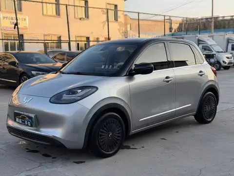 Wuling Bingo 2023