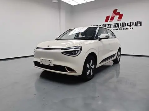 Dongfeng 纳米01 2024