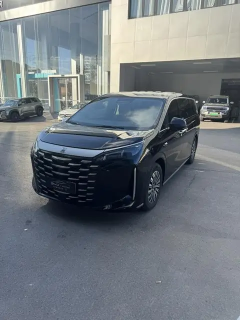 BYD 夏 2025