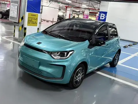 JAC (Sihao) 花仙子 2021