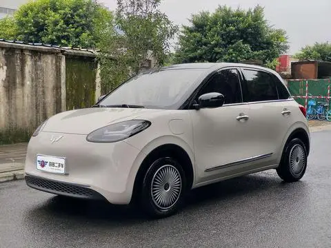 Wuling Bingo 2024