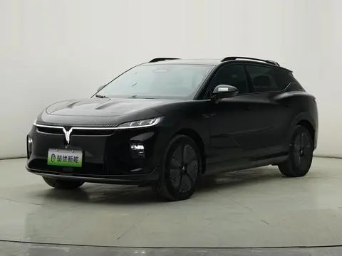 Voyah 知音 2024