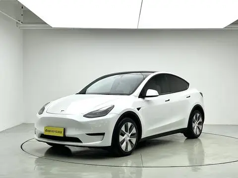 Tesla Model Y 2021 — фото 1