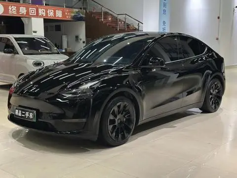 Tesla Model Y 2021 — фото 1