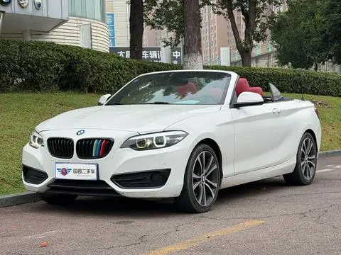 BMW 2 Series 2019