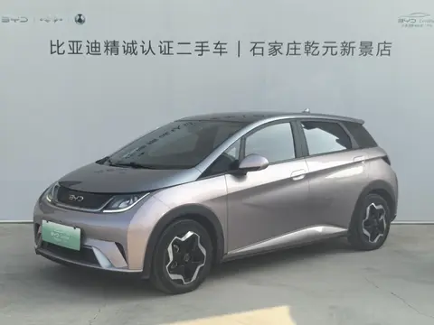 BYD Dolphin 2021