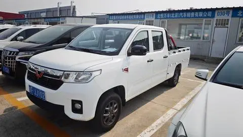 Wuling 征途 2021