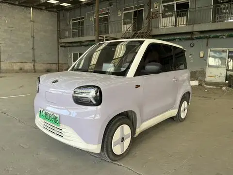 Zhidou 彩虹 2024