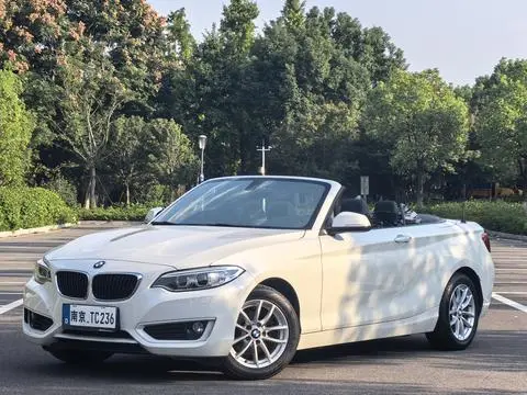 BMW 2 Series 2015