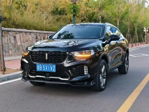 Wey VV5 2019