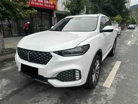 Wey VV6 2020