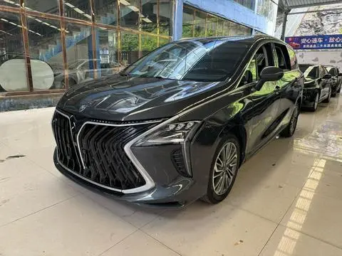 Forthing 风行游艇 2022