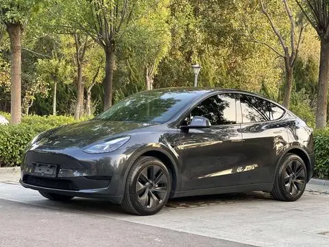 Tesla Model Y 2024 — фото 1