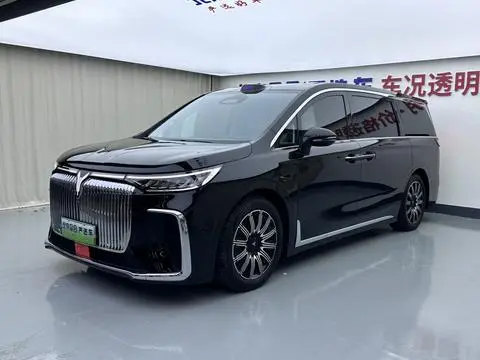 Voyah 梦想家 EV 2025