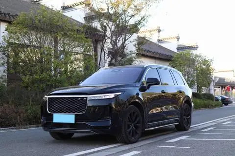 Li ONE 2021