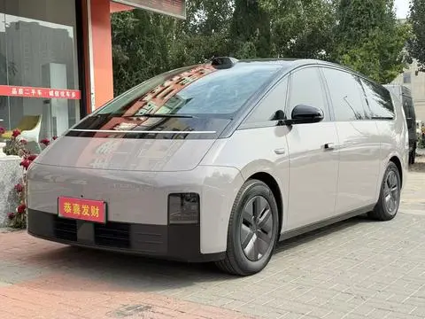 Li MEGA 2024