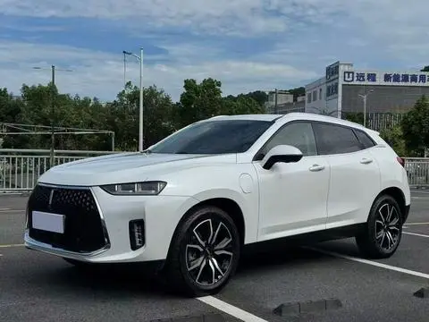 Wey P8 2018