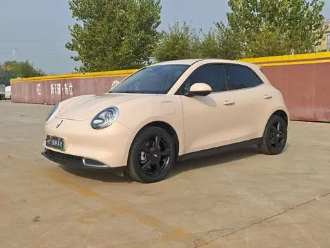 ORA 好猫 2024