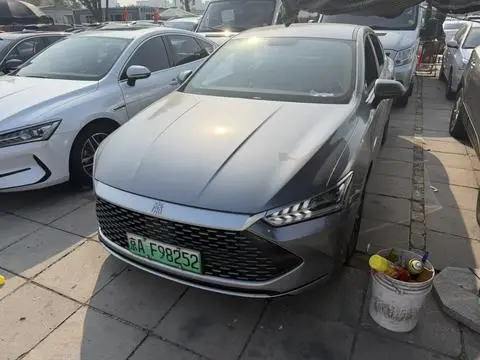 BYD 秦PLUS DM 2024