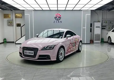 Audi TTS 2013
