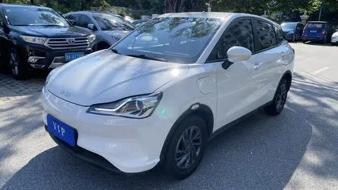 NETA V 2021