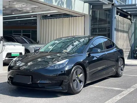 Tesla Model 3 2021 — фото 1
