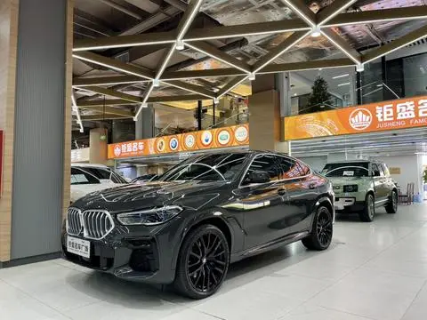 BMW X6 2022