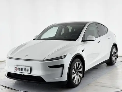Tesla Model Y 2025 — фото 1