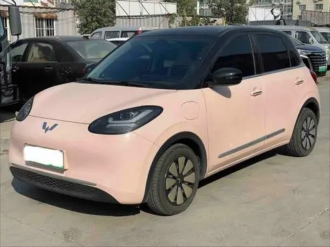 Wuling Bingo 2024