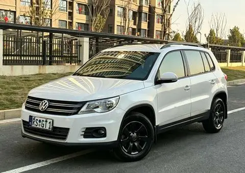 Volkswagen Tiguan 2010 — фото 1