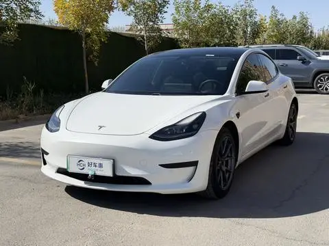 Tesla Model 3 2021