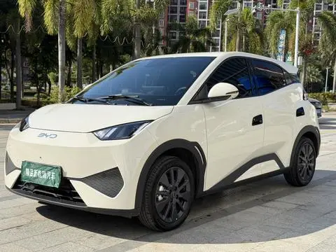 BYD Seagull 2026