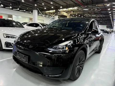 Tesla Model Y 2023 — фото 1