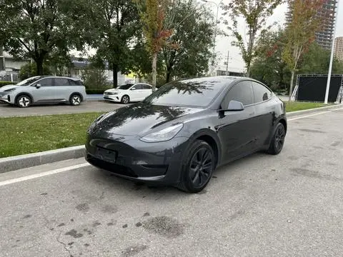 Tesla Model Y 2024 — фото 1
