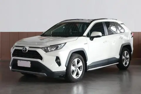 Toyota RAV4 2020 — фото 1