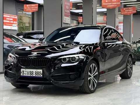 BMW 2 Series 2019