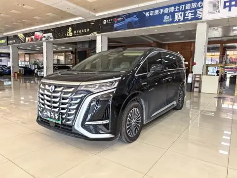 Denza D9 DM 2025