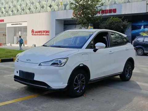 NETA V 2022