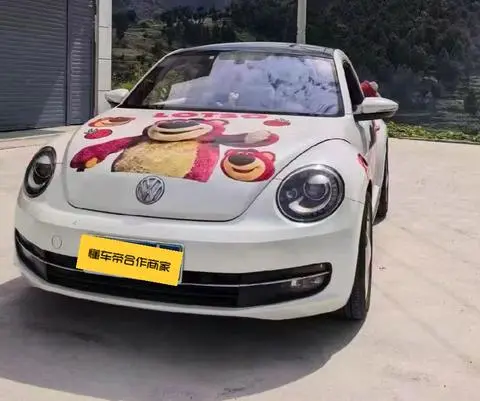 Volkswagen 甲壳虫 2014