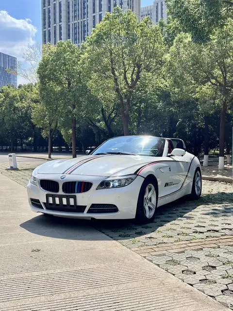 BMW Z4 2009