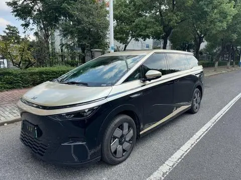 XPeng 小鹏X9 2024