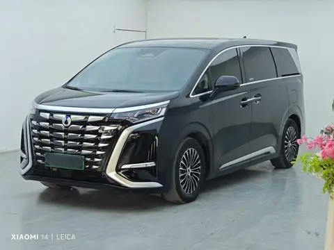 Denza D9 DM 2024