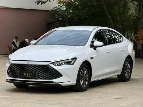 BYD 秦PLUS DM 2024 — фото 1