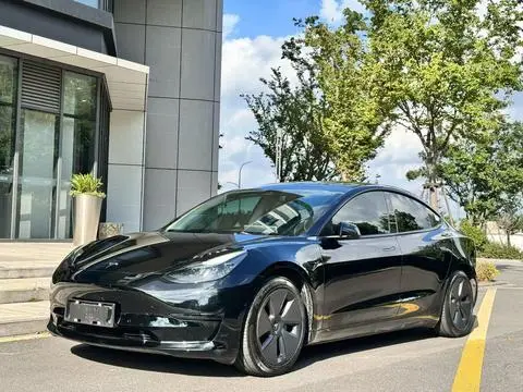 Tesla Model 3 2021 — фото 1