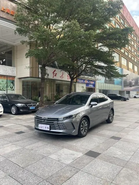 BYD Destroyer 05 2024