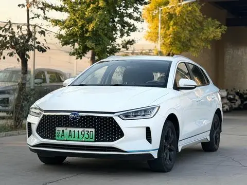 BYD e2 2019