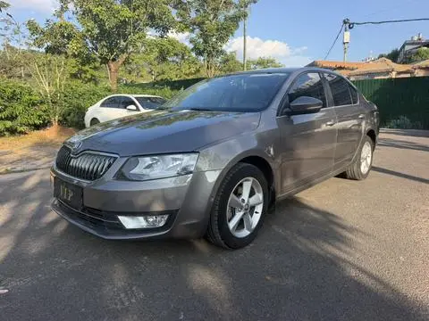 Skoda 明锐 2015