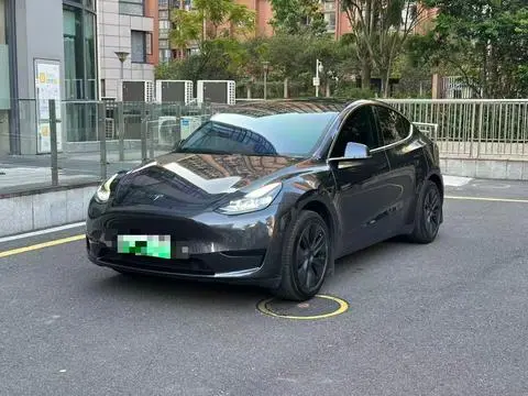 Tesla Model Y 2024 — фото 1